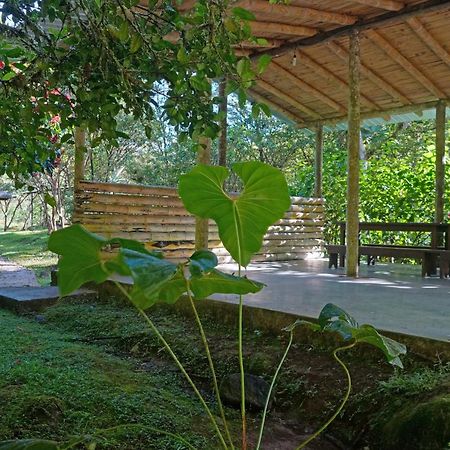 Mindo Real Hotel Luaran gambar