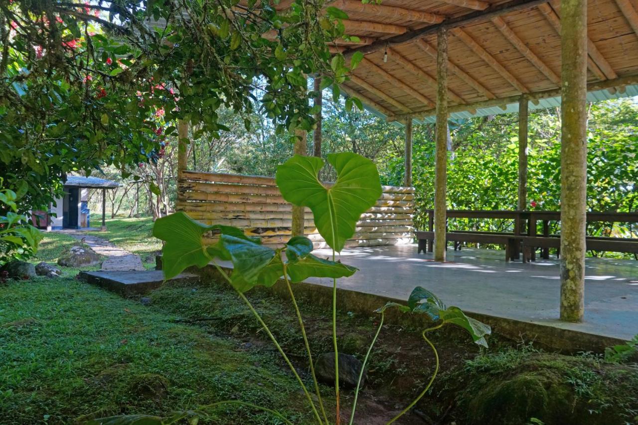 Mindo Real Hotel Luaran gambar