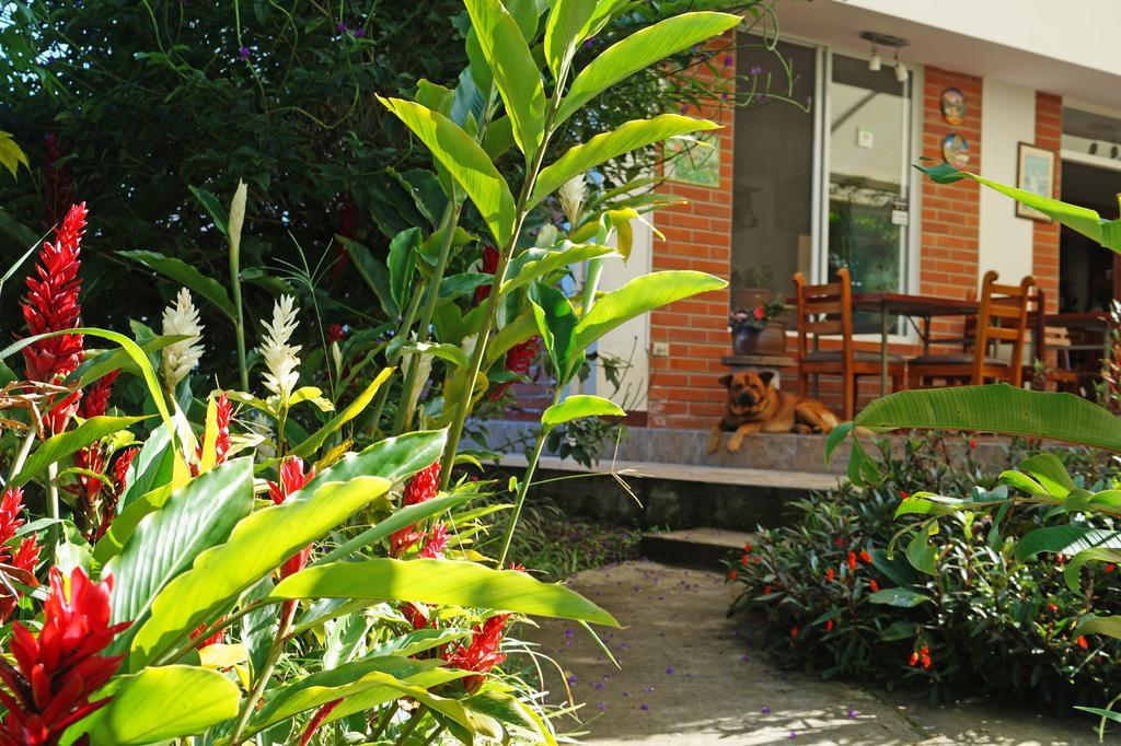 Mindo Real Hotel Luaran gambar